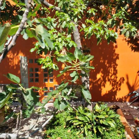 Ex Hacienda Διαμέρισμα Γκουαναχουάτο Εξωτερικό φωτογραφία