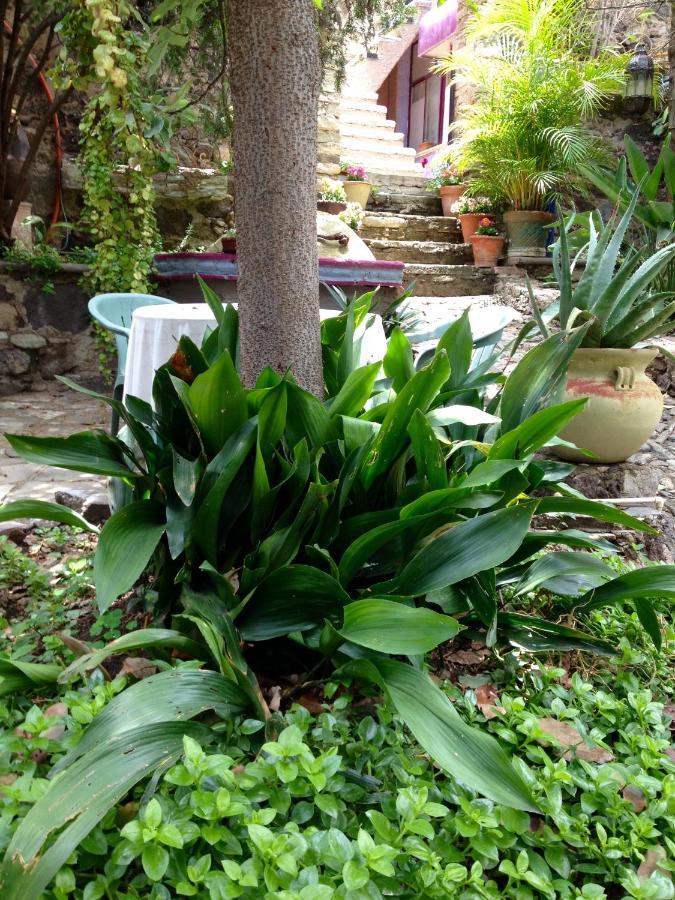 Ex Hacienda Διαμέρισμα Γκουαναχουάτο Εξωτερικό φωτογραφία